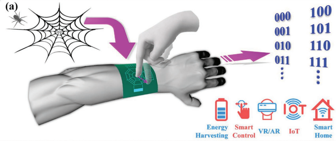 Bio-inspired spider-net-coding interface concept